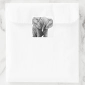 Baby African Elephant Sticker (Tasche)