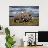 Baby African Elephant with family Poster (Heimbüro)