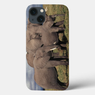 Baby Afrikanischer Elefant mit Familie Case-Mate iPhone Hülle