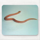 Baby-Albino Hognose Schlange Mousepad (Vorne)