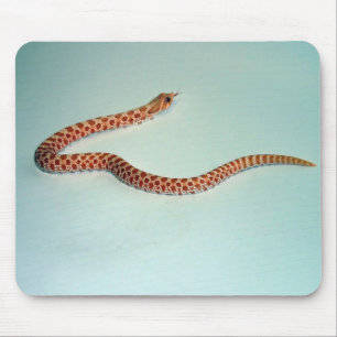 Baby-Albino Hognose Schlange Mousepad