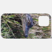 Baby Alligator Nature Foto Case-Mate iPhone Hülle (Rückseite (Horizontal))