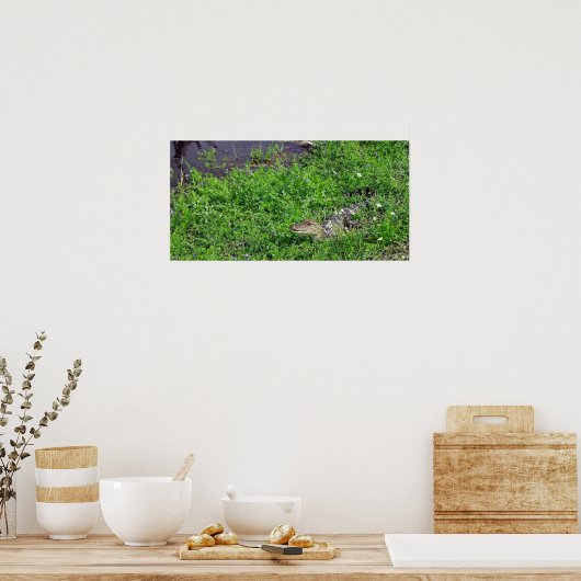 Baby Alligator Poster (Küche)