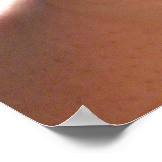 Baby Alligator Poster (Ecke)