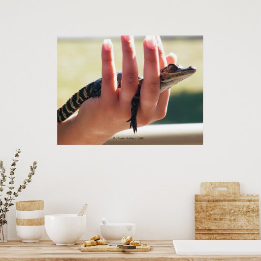 Baby Alligator Poster (Küche)