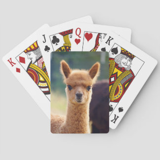 Baby Alpaca Bicycle Playing Cards Spielkarten