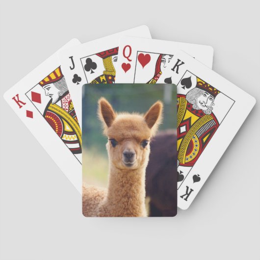 Baby Alpaca Bicycle Playing Cards Spielkarten (Rückseite)