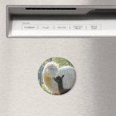 Baby Alpaca Kiss Magnet (In Situ (Geschirrspüler))