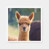Baby Alpaca Standard Cocktail Napkin Serviette (Vorderseite)