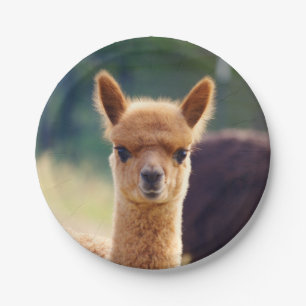 Baby-Alpaka 7 Zoll-Pappteller Pappteller