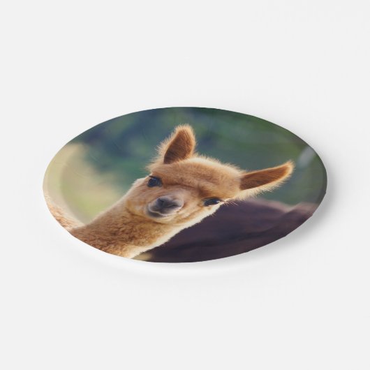 Baby-Alpaka 7 Zoll-Pappteller Pappteller (Schrägansicht)