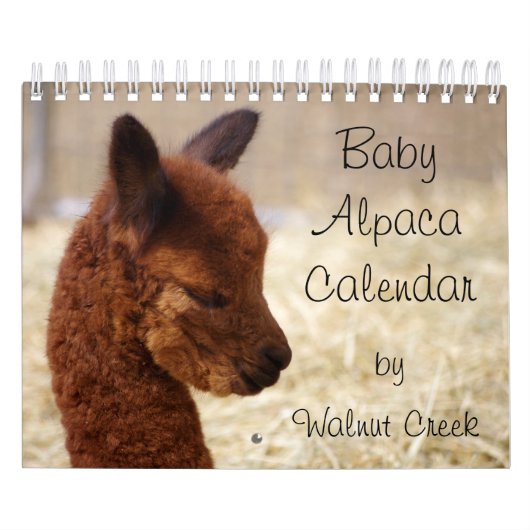 Baby Alpaka Kalender 2020 (Titelbild)