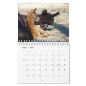Baby Alpaka Kalender 2020 (Mär 2026)