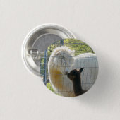 Baby-Alpaka-Kuss-Knöpfe Button (Vorne & Hinten)