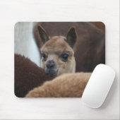 Baby-Alpaka Mousepad (Mit Mouse)