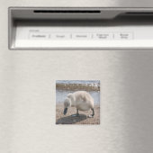 Baby Animal Swan Magnet (In Situ (Geschirrspüler))