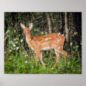 Baby Animals Fawn Deer Poster (Vorne)