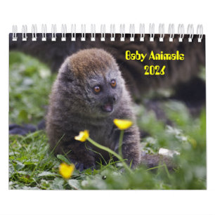 Baby Animals Kalender 2025