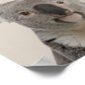 Baby Animals Kinderzimmer Poster - Koala (Ecke)