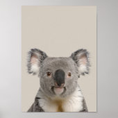 Baby Animals Kinderzimmer Poster - Koala (Vorne)