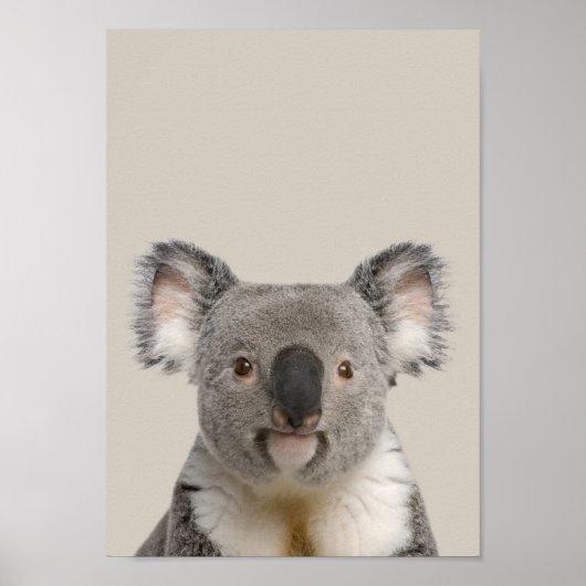 Baby Animals Kinderzimmer Poster - Koala (Vorne)
