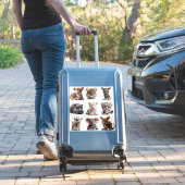 Baby Animals Set 1 Aufkleber (Koffer Insitu)