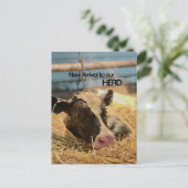 Baby Announcement Postcard Postkarte (Stehend Vorderseite)