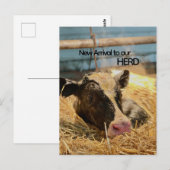 Baby Announcement Postcard Postkarte (Vorne/Hinten)