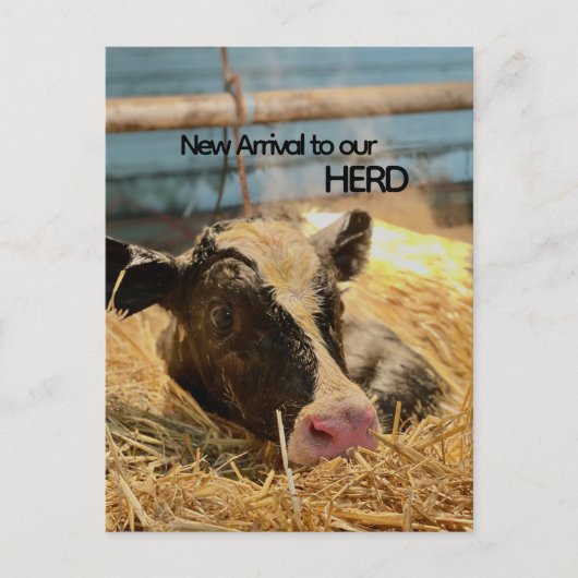 Baby Announcement Postcard Postkarte (Vorderseite)