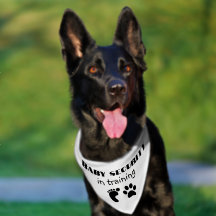 Baby Announction Pet Bandana