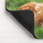 Baby Antelope Mousepad (Ecke)