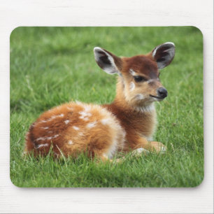 Baby Antelope Mousepad