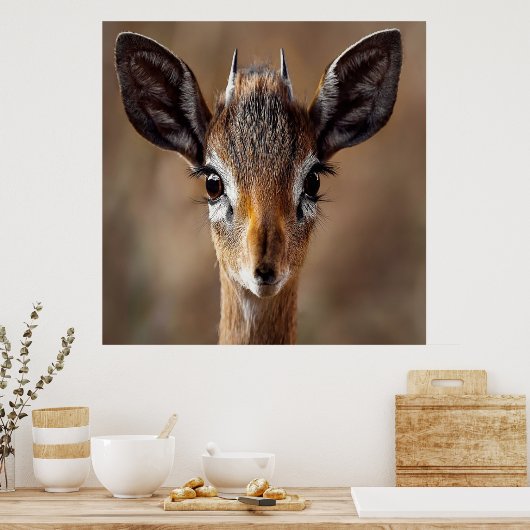 Baby Antelope Poster (Küche)