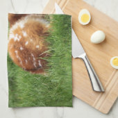 Baby-Antilope Handtuch (Viertel Falte)