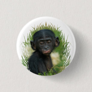 Baby Ape im Gras Button