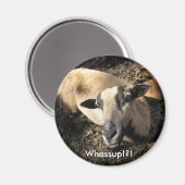 Baby aus der Black Oak Ranch Magnet (Vorderseite/Rückseite)