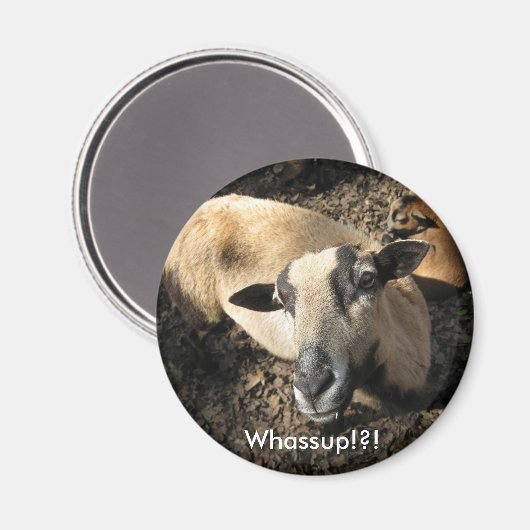 Baby aus der Black Oak Ranch Magnet (Vorderseite/Rückseite)