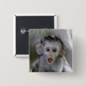 Baby-Baboon unter seiner Mutter Button (Vorne & Hinten)
