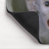 Baby-Baboon unter seiner Mutter Mousepad (Ecke)