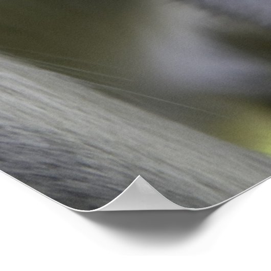 Baby-Baboon unter seiner Mutter Poster (Ecke)