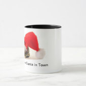 Baby Ball Python Tasse (Zentrum)