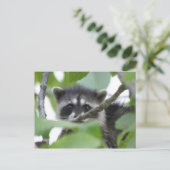Baby Bandit! Postkarte (Stehend Vorderseite)