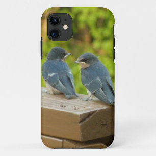 Baby-Barn-Schwalben Natur Vogel Fotografie Case-Mate iPhone Hülle