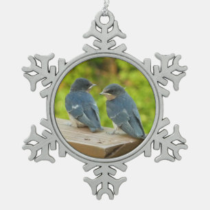 Baby-Barn-Schwalben Natur Vogel Fotografie Schneeflocken Zinn-Ornament