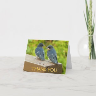 Baby Barn Swallows Dankeskarte