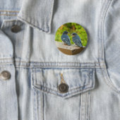 Baby Barn Swallows Nature Bird Fotografy Button (Beispiel)