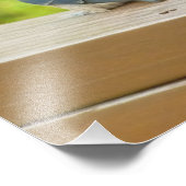 Baby Barn Swallows Nature Bird Fotografy Fotodruck (Ecke)