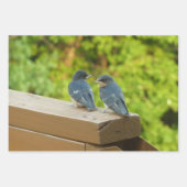 Baby Barn Swallows Nature Bird Fotografy Geschenkpapier Set (Vorderseite)