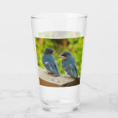 Baby Barn Swallows Nature Bird Fotografy Glas (Rückseite)