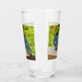 Baby Barn Swallows Nature Bird Fotografy Glas (Links)